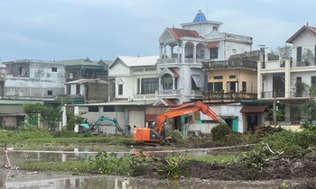  &apos;Cha đẻ&apos; Vietkey được bổ nhiệm làm Trưởng khoa Vi điện tử và Viễn thông 