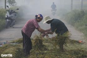 Đồng lúa chín ở huyện ngoại thành Hà Nội chìm nghỉm, nguy cơ mất trắng