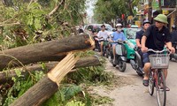  Điều chỉnh kế hoạch kiểm toán tại các địa phương bị ảnh hưởng bởi bão số 3 