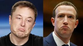 Trận đấu võ tự do giữa Mark Zuckerberg và Elon Musk sẽ thu về 100 tỷ USD  第1张