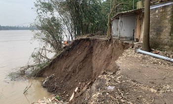  Thành phố biển Quy Nhơn thúc đẩy phân loại rác tại nguồn 