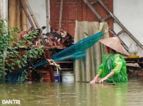 Hà Nội: Nước ngập đến cổ, lão nông mất trắng 2 ao cá, đàn trâu gặp nguy  第17张