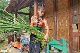 Tăng quyền năng kinh tế cho phụ nữ, tạo bình đẳng giới  第3张