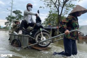 Dịch vụ xe bò &quot;cõng&quot; máy đắt khách trên Đại lộ Thăng Long  第2张