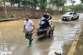 Dịch vụ xe bò &quot;cõng&quot; máy đắt khách trên Đại lộ Thăng Long  第4张