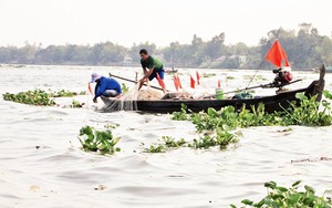 Đây là con đường hoa mê ly ở một xã của An Giang, đẹp như phim, dân tình tha hồ chụp hình &quot;khoe trên mạng&quot;