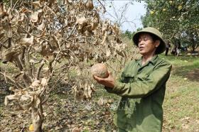 Khẩn trương ban hành Thông tư hướng dẫn cơ cấu nợ cho khách hàng bị ảnh hưởng bởi bão Yagi