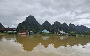 Sò huyết xuất hiện la liệt ở bãi biển một xã của Quảng Bình, dân kéo nhau ra vớt bán kiếm bộn tiền  第6张