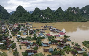 Sò huyết xuất hiện la liệt ở bãi biển một xã của Quảng Bình, dân kéo nhau ra vớt bán kiếm bộn tiền  第8张