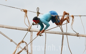 Cây đặc sản thấp tè thế này đã ra quả ngon to bự, nông dân Trà Vinh hễ bẻ là bán hết veo