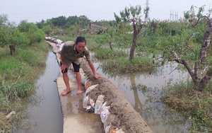 Đà Nẵng: Nước sông Cu Đê dâng cao, một thôn ở xã miền núi Hòa Bắc bị ngập nước  第13张