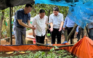 Hội Nông dân Tiền Giang tổng kết 10 năm thực hiện Quyết định số 81 của Thủ tướng Chính phủ  第3张