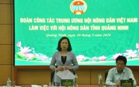 Phó Chủ tịch Hội NDVN Bùi Thị Thơm gợi mở 5 nội dung về công tác tuyên truyền, vận động hội viên, nông dân