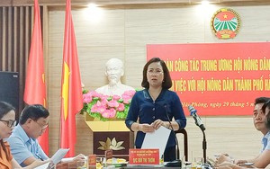 Phó Chủ tịch Hội NDVN Bùi Thị Thơm gợi mở 5 nội dung về công tác tuyên truyền, vận động hội viên, nông dân