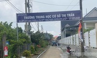  Yêu cầu đình chỉ công tác hiệu trưởng tự ý chuyển trường ở Kiên Giang 第4张