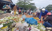  &apos;Lên đời&apos; cho thực phẩm bẩn: &apos;Hô biến&apos; rác thành... rau nhà trồng 第3张