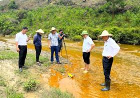  Nước suối ở thủ phủ khoáng sản đục ngầu khiến cá chết hàng loạt 