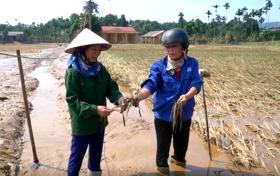 Yên Bái hỗ trợ thiệt hại sản xuất nông nghiệp do ảnh hưởng bão số 3: Kịp thời giúp dân