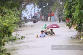 Hà Nội: Nước sông Bùi tràn vào nhanh, rốn lũ Chương Mỹ lại chìm trong biển nước