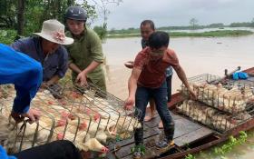 Giá rau xanh tăng mạnh sau bão Yagi, tiểu thương &quot;than&quot; xấu mã nhưng giá gấp đôi ngày thường