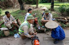 Công nhân cưa mòn cả lưỡi xích, công viên ở Hà Nội vẫn la liệt cây đổ do bão số 3