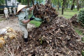 Công nhân cưa mòn cả lưỡi xích, công viên ở Hà Nội vẫn la liệt cây đổ do bão số 3  第14张