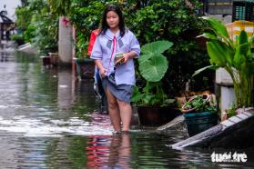 Hẻm ở quận Bình Tân lại ngập tới đầu gối, học sinh lội nước thối tan trường