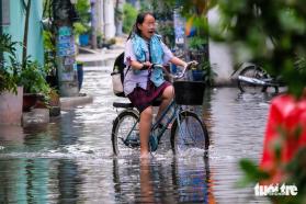 Hẻm ở quận Bình Tân lại ngập tới đầu gối, học sinh lội nước thối tan trường