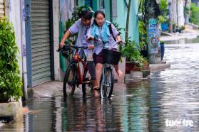 Hẻm ở quận Bình Tân lại ngập tới đầu gối, học sinh lội nước thối tan trường