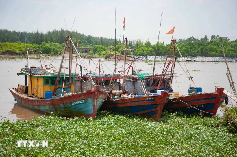  Thủ tướng: Chủ động ứng phó với áp thấp nhiệt đới có khả năng mạnh lên thành bão 