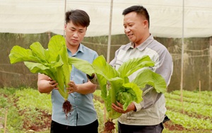 Tuyên truyền chống phá Nhà nước trên mạng xã hội, Hoàng Việt Khánh bị tuyên 8 năm tù